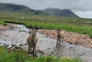 From Edinburgh: 2-Day Ultimate Highland Tour with Hotel