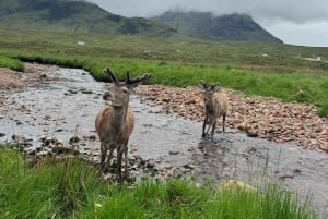 Desde Edimburgo: Tour definitivo de 2 días por las Highlands con hotel