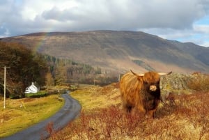 From Edinburgh: a Private Tour to a Majestic Highland Glen