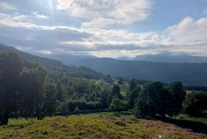 Au départ d'Édimbourg : Visite privée du goût des Highlands