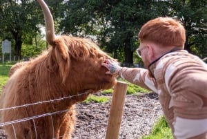 Edinburghista: Edinburgh: Räätälöitävä yksityinen päivä- tai monipäiväinen kiertomatka