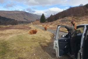 From Edinburgh: a Private Tour to a Majestic Highland Glen