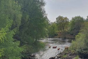 From Edinburgh: a Private Tour to a Majestic Highland Glen