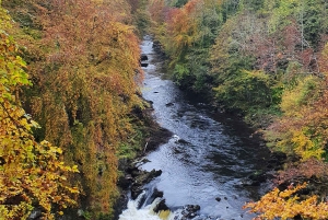 From Edinburgh: a Private Tour to a Majestic Highland Glen