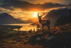 From Glasgow: Glenfinnan, Fort William & Glencoe Day Tour