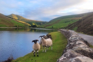 From Glasgow: Glenfinnan, Fort William & Glencoe Day Tour