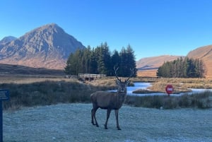 From Glasgow: Glenfinnan, Fort William & Glencoe Day Tour