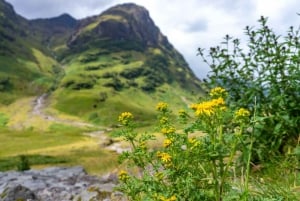 Z Glasgow: Pociąg parowy Jacobite i wycieczka po Highlands