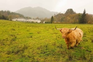 From Glasgow: Loch Lomond, Trossachs & Stirling Castle Tour