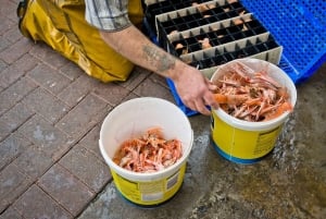 De Glasgow: lagos, castelos e as Terras Altas Ocidentais