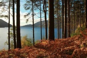 From Glasgow: Stirling Castle & Loch Lomond Tour with Cruise