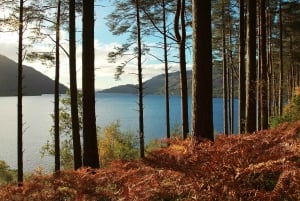 From Glasgow: Whisky and Loch Lomond Tour with Admissions