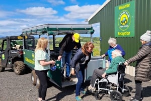 Glasgow: Highland Cow Trailer Tour with home baking