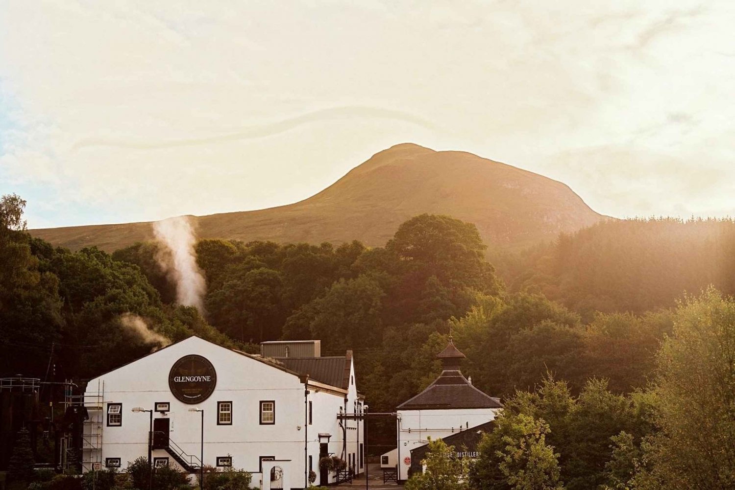 Glasgow: Sample Fine & Rare Whiskies at Glengoyne Distillery