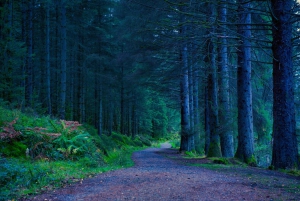 Glasgow'n rantaretki: - Loch Lomond - Stirlingin linna
