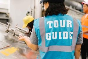 Glasgow: Tennent's Brewery Guidad rundtur och gratis pint