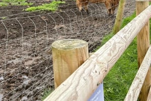 Greenock: passeio pelo Loch Lomond, Luss e Castelo de Stirling