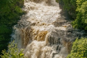 Hike World Heritage Reserve Waterfalls