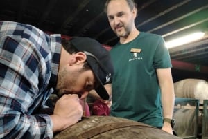 Islay & Campbeltown; 4 päivän viskikierros 6 tislaamolla