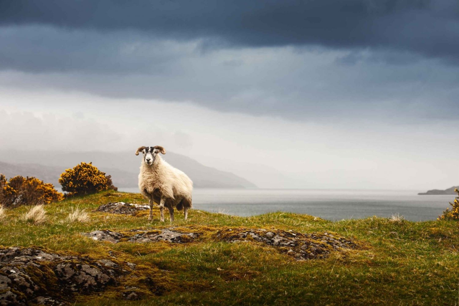 Isle of Mull and Iona 3-Day Small-Group Tour from Glasgow