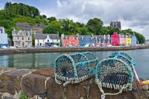 Isle of Mull and Iona 3-Day Small-Group Tour from Glasgow