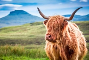 Isle of Skye & The Highlands: 3-Day Guided Tour from Glasgow