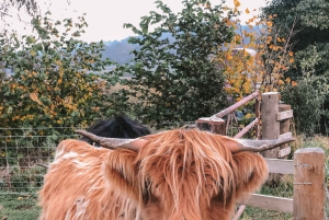 Ilha de Skye e as Terras Altas: Visita guiada de 3 dias a partir de Glasgow