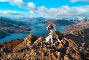 Tour particular pelas Highlands, Lochs & Castles saindo de Stirling