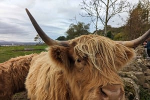 Private Tour of Loch Ness, Pitlochry, Glencoe and Highlands