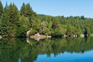 Glasgow: Stirling Castle, Loch Lomond Walk, and Whisky Tour