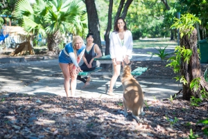 Gold Coast: 1.5-Hour Jet Ski Safari to Stradbroke Island