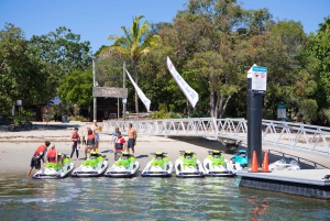 Gold Coast: 1.5-Hour Jet Ski Safari to Stradbroke Island
