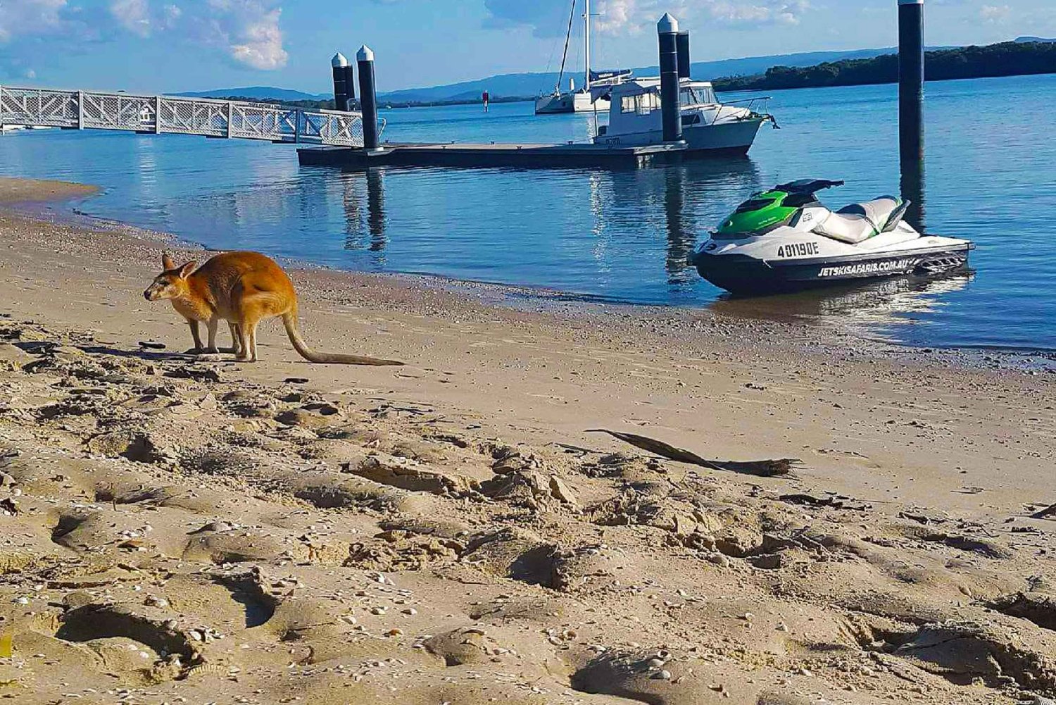 2,5-tuntinen Ultimate Jet Ski Safari North Stradbroke Islandilla