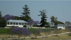 Albert River Wines
