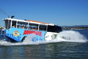 Aquaduck City Tour and River Cruise