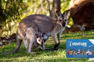 Australia Multi-City Flexi Attractions Pass