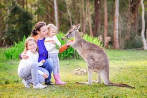 Australia Zoo Full-Day Day Tour from Brisbane & Gold Coast