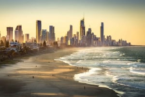 골드 코스트의 최고: 현지인과 함께하는 프라이빗 워킹 투어