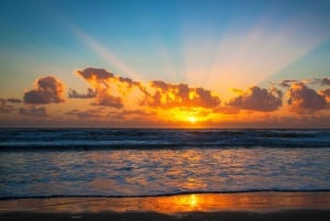 골드 코스트의 최고: 현지인과 함께하는 프라이빗 워킹 투어