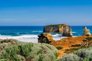 골드 코스트의 최고: 현지인과 함께하는 프라이빗 워킹 투어