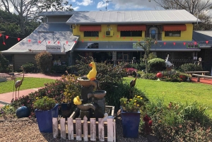 BNE - マウントタンボリン ランチと試飲付きオールインクルーシブツアー