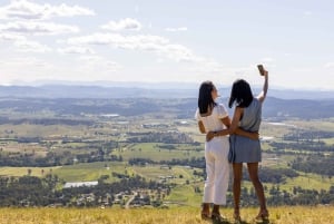 Brisbane: Hop on Hop off Bus to Tamborine Mountain