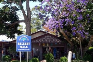 Brisbane: Hop on Hop off Bus to Tamborine Mountain