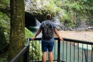 Brisbane: Natural Bridge, Glow worms & Magic Sky View