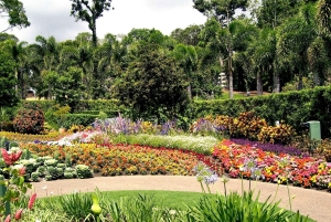 Brisbane: tour personale nel sud-est del Queensland