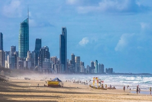 Brisbane: tour personale nel sud-est del Queensland