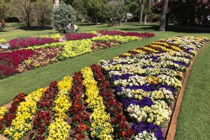 Brisbane: tour personale nel sud-est del Queensland