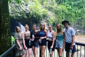 Brisbane: Springbrook en Mt Tamborine regenwoud dagtour