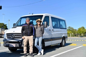 Tour privato della Gold Coast Surfers Paradise da Brisbane