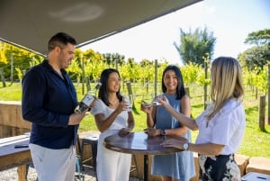 Brisbane: Wine Tasting - Hop on Hop off Tour to Mt Tamborine